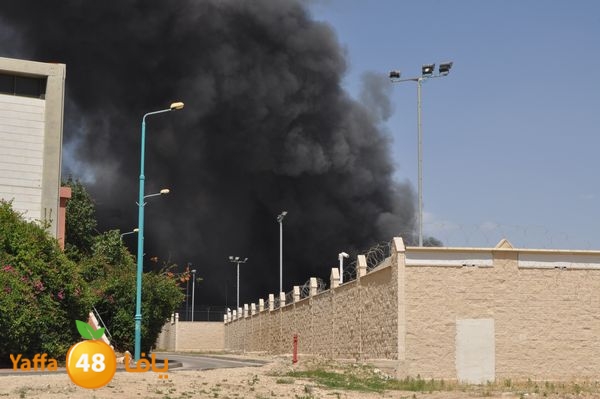 fireramlasejn4288 (46).JPG